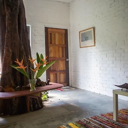 Langkawi Rouhi Retreats By Vp Villa Kuah Room photo